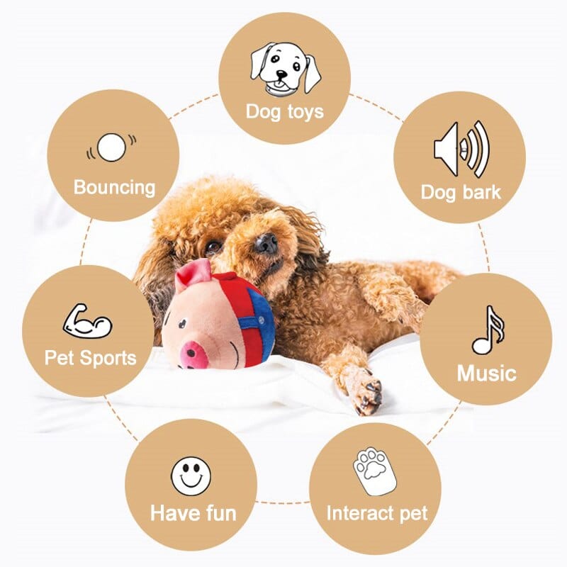 PetPalz: Interactive Talking Ball for Pets